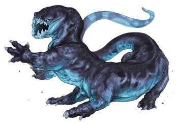 Frost Salamander