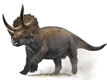 Triceratops