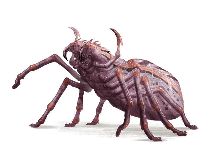 Giant Spider Kryx RPG