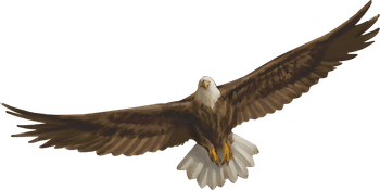 Eagle