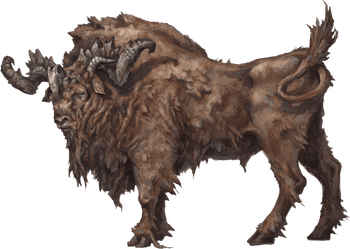 Aurochs