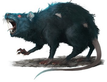 Giant Rat