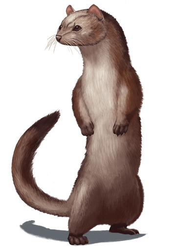 Giant Weasel