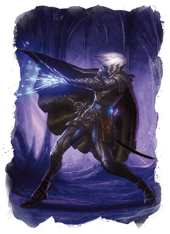 Drow Favored Consort