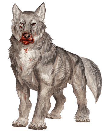 Dire Wolf