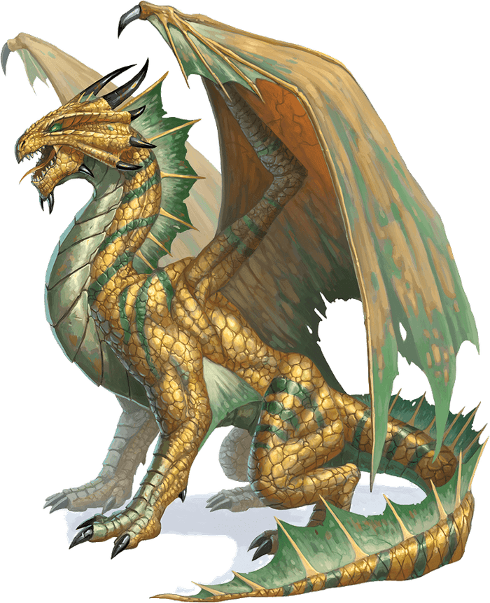 Adult Bronze Dragon Kryx RPG