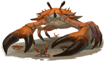 Crab